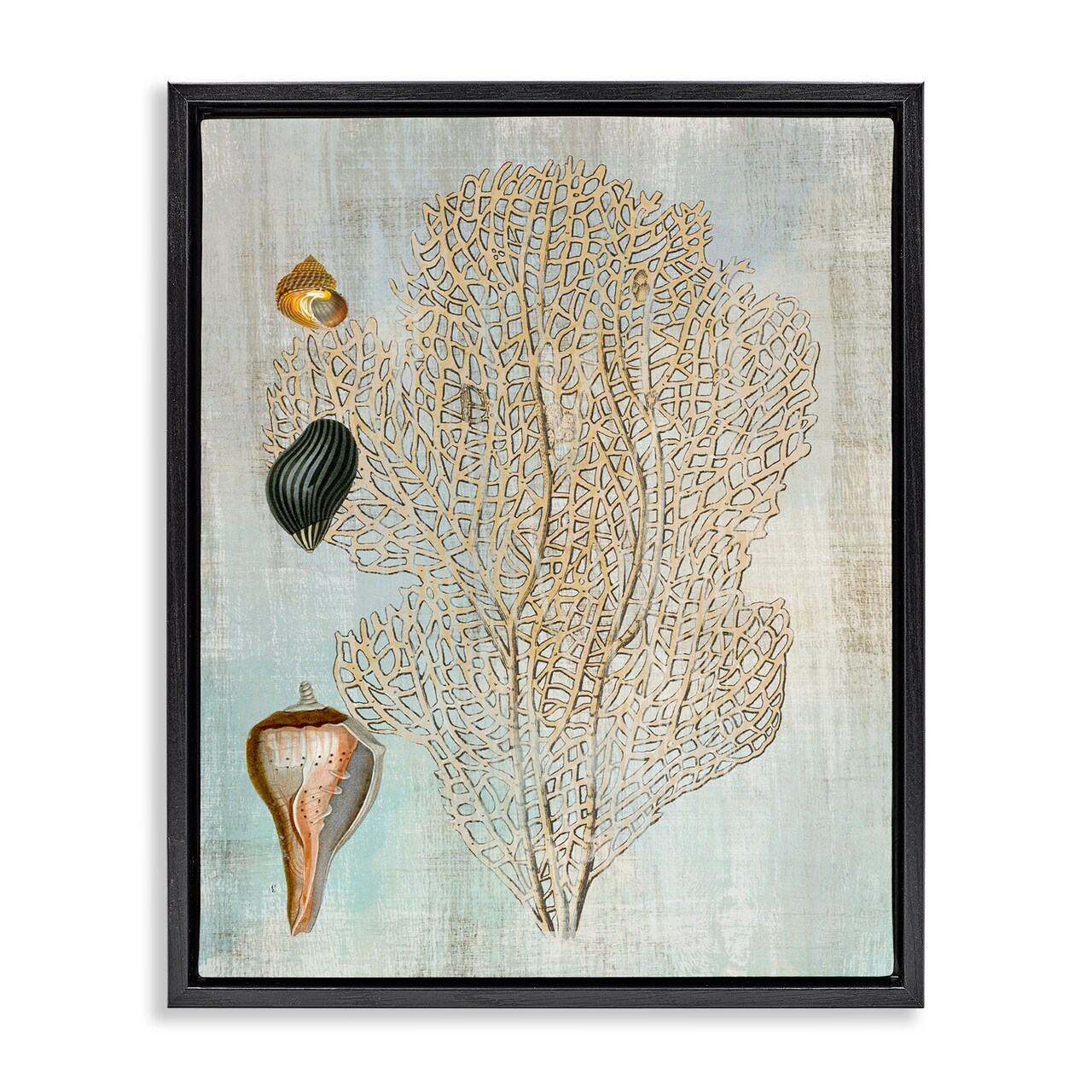 Stupell Industries Detailed Coral & Seashells Floating Frame Design by Susan Arnot